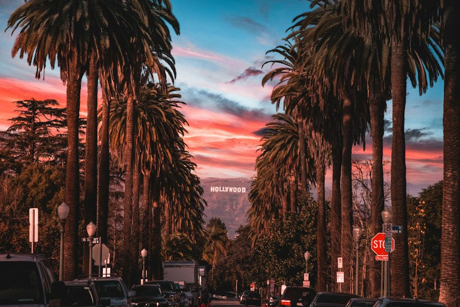 Los Angeles Skyline Sunset